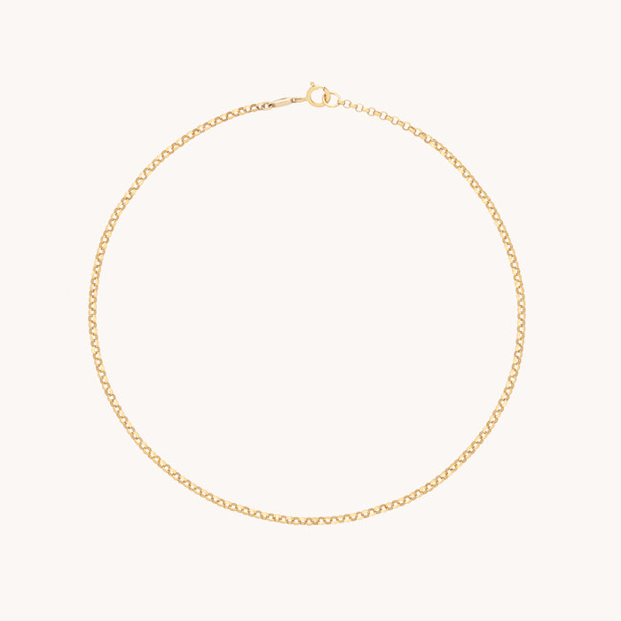 Chelsea Chain Anklet in Solid Gold