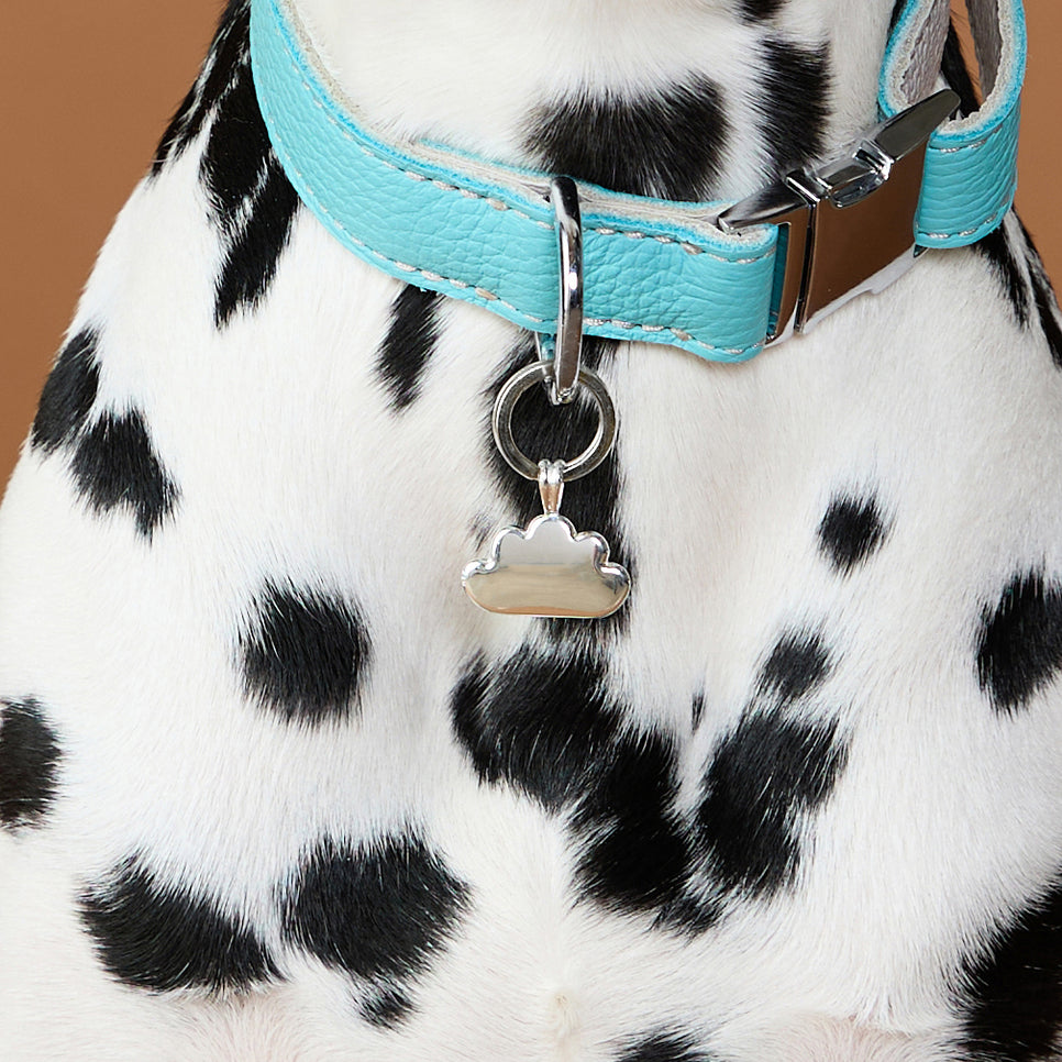 Cloud Pet Tag in Silver