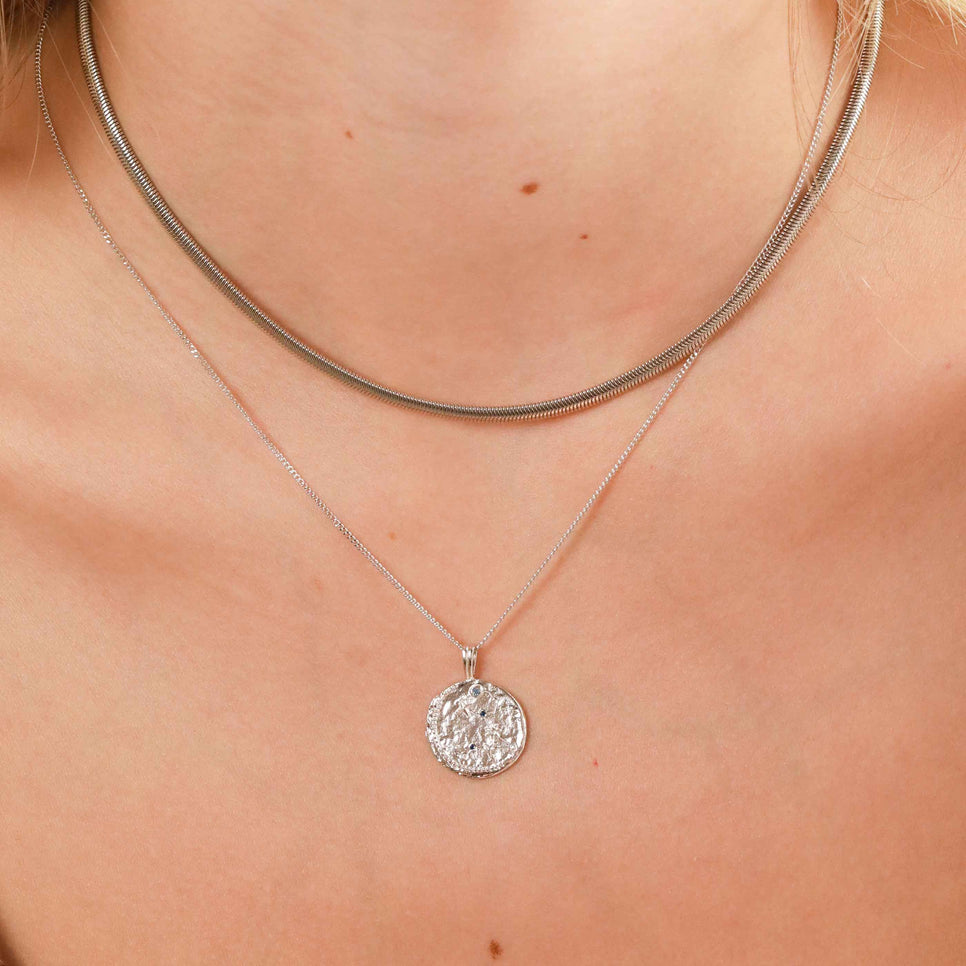 Pisces Zodiac Pendant Necklace in Silver